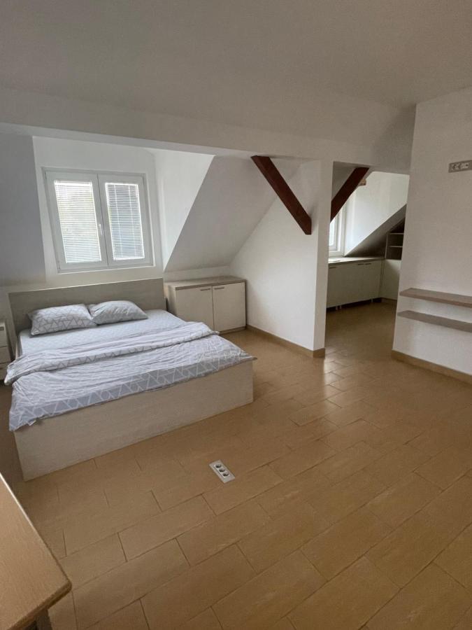 Vila Odmor Na Dunavu Beocin Exteriér fotografie