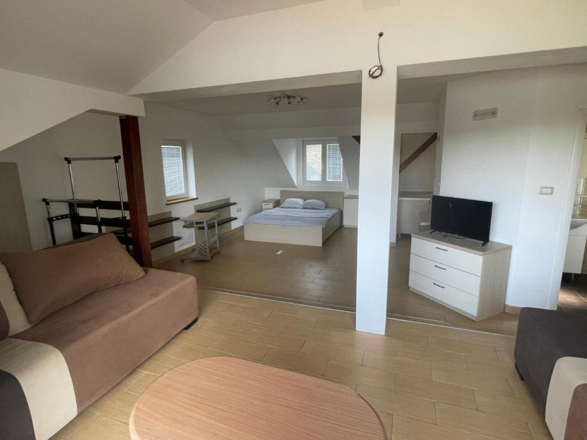 Vila Odmor Na Dunavu Beocin Exteriér fotografie